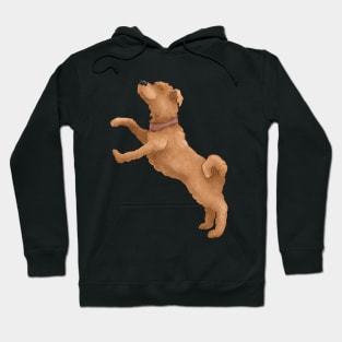 Curly dog breed wheat terrier. Hoodie